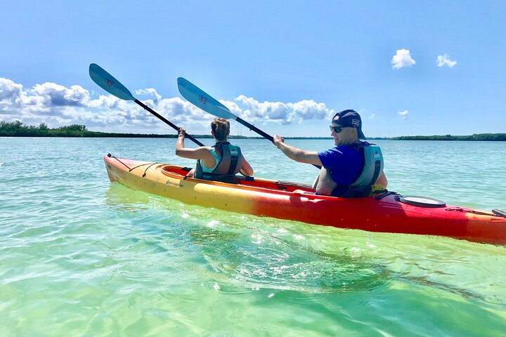 Small Group Kayak Tour of the Shell Key Preserve - Photo 1 of 10